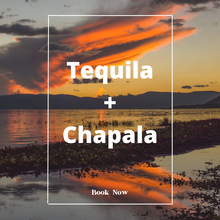 Load image into Gallery viewer, Jalisco Experience (Tequila + Chapala Tour)
