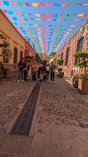 Load image into Gallery viewer, Tequila Tour $650 / Deposito 50%
