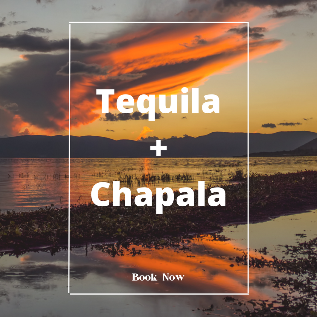 Jalisco Experience (Tequila + Chapala Tour)